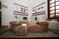 Strassenmuseum2011 022