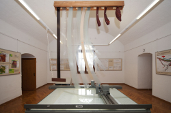 Strassenmuseum2011 036